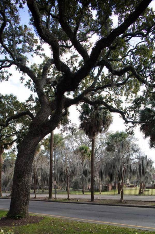 Newly Renovated 4 Bed 3 Bath And 2 Parking Spots Holiday home Savannah